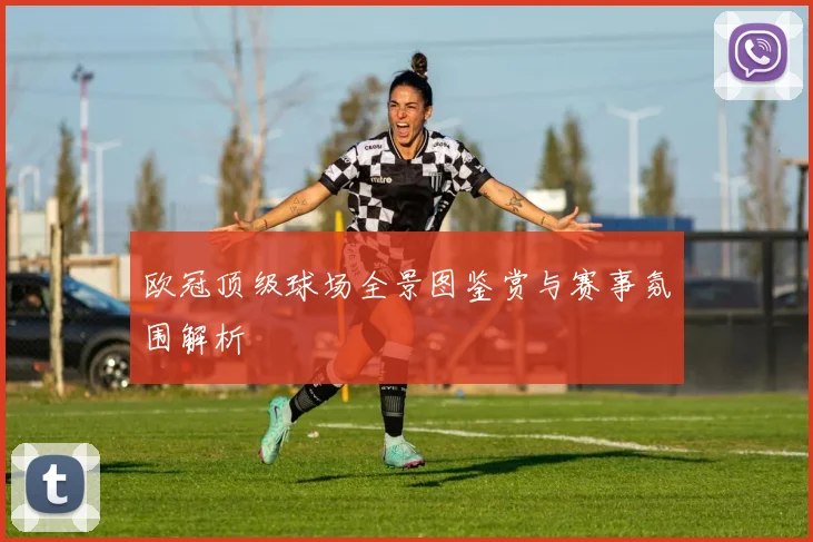 欧冠顶级球场全景图鉴赏与赛事氛围解析