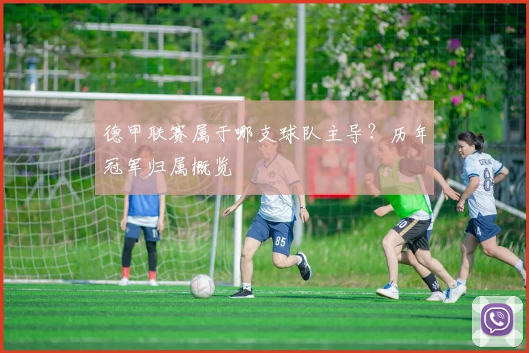 德甲联赛属于哪支球队主导？历年冠军归属概览