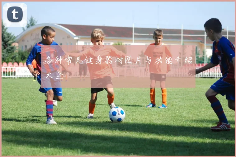 各种常见健身器材图片与功能介绍大全